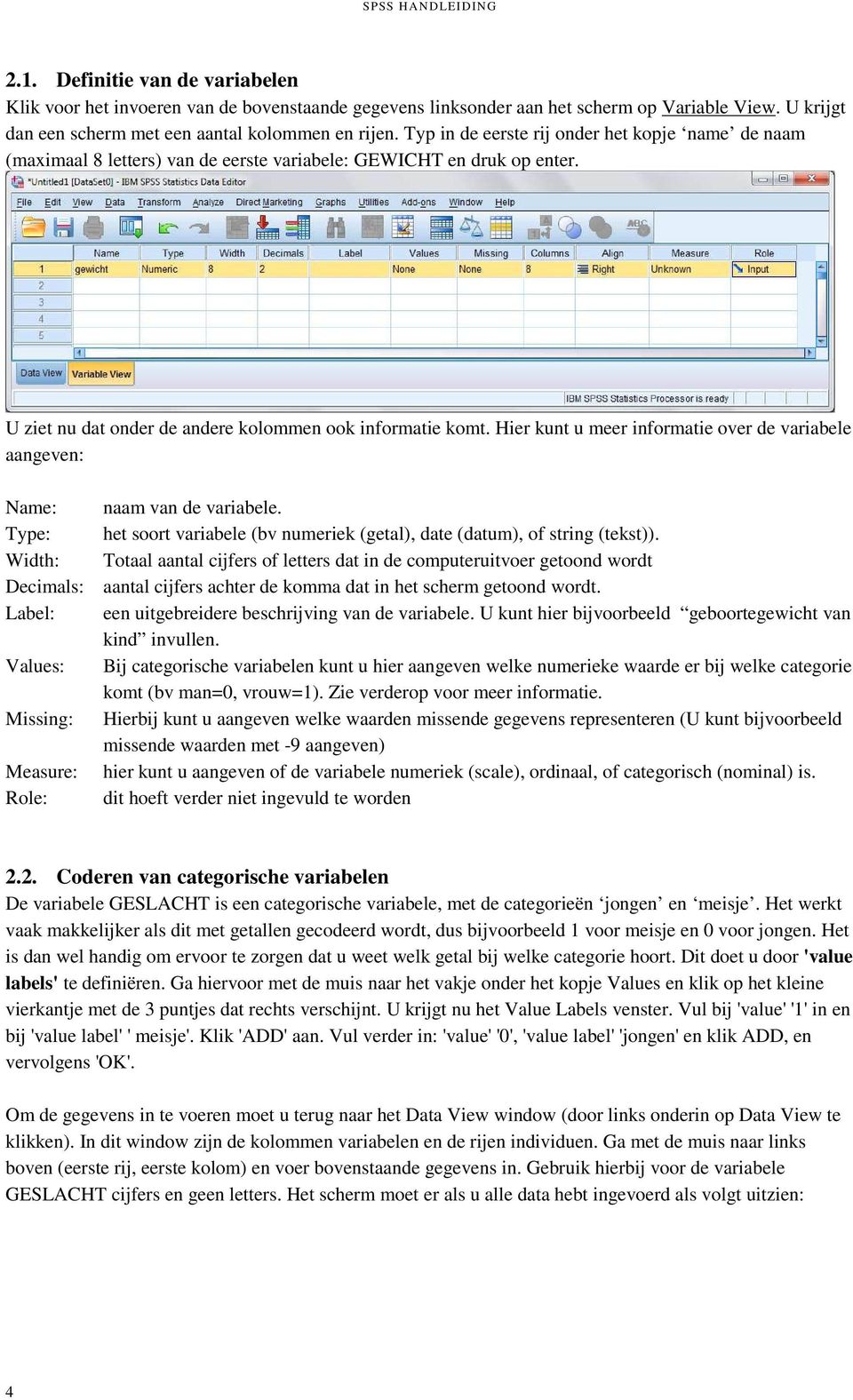 U ziet nu dat onder de andere kolommen ook informatie komt. Hier kunt u meer informatie over de variabele aangeven: Name: naam van de variabele.