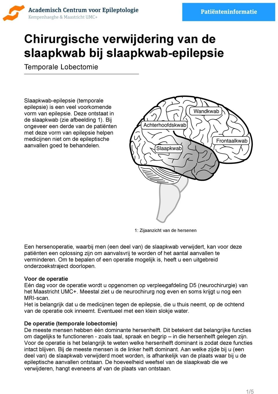 1: Zijaanzicht van de hersenen Een hersenoperatie, waarbij men (een deel van) de slaapkwab verwijdert, kan voor deze patiënten een oplossing zijn om aanvalsvrij te worden of het aantal aanvallen te