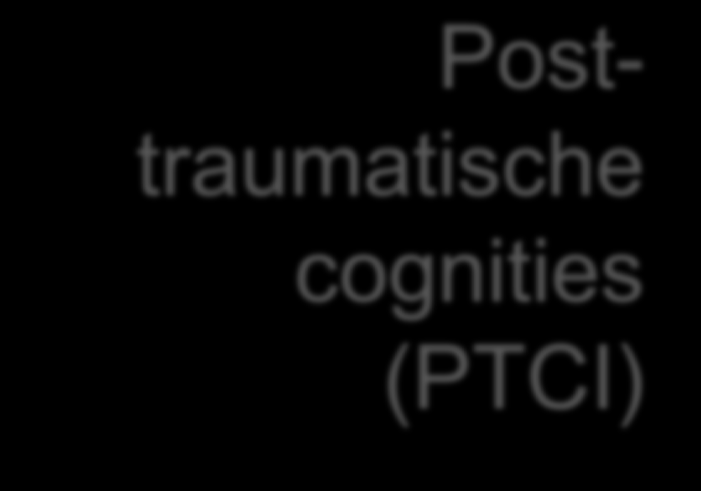 160 150 140 baseline post-treatment* 6-month followup* n=155 n=130 n=128 Posttraumatische cognities (PTCI) 130 120 110 100 90 PE