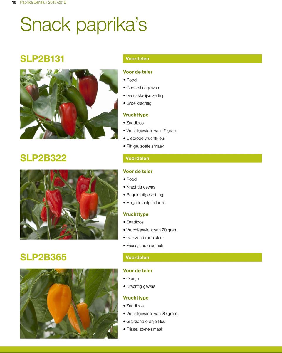 Krachtig gewas Regelmatige zetting Hoge totaalproductie SLP2B365 Zaadloos Vruchtgewicht van 20 gram Glanzend