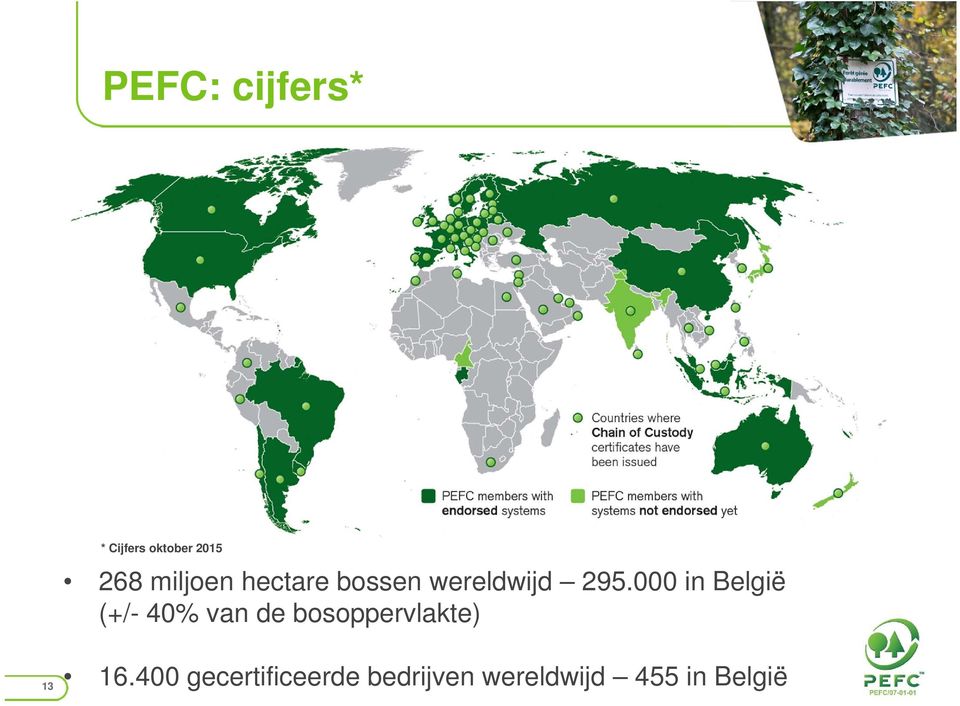 000 in België (+/- 40% van de bosoppervlakte)
