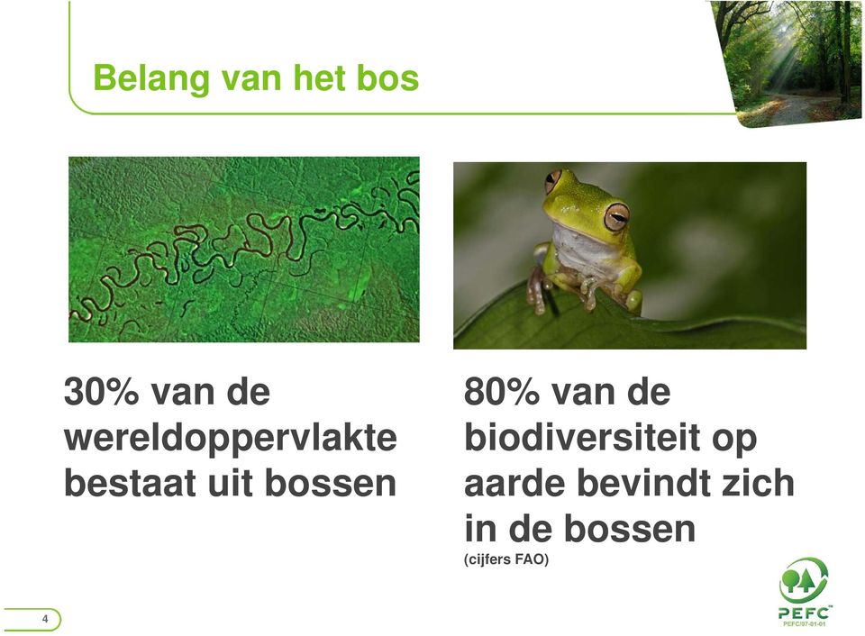 bossen 80% van de biodiversiteit op