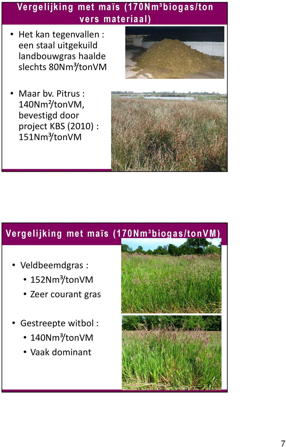 Pitrus : 140Nm²/tonVM, bevestigd door project KBS (2010) : 151Nm³/tonVM Vergelijk ing met