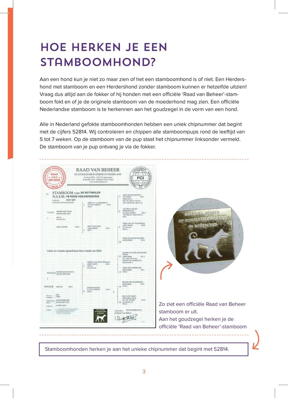 Een officiële Nederlandse stamboom is te herkennen aan het goudzegel in de vorm van een hond. Alle in Nederland gefokte stamboomhonden hebben een uniek chipnummer dat begint met de cijfers 52814.