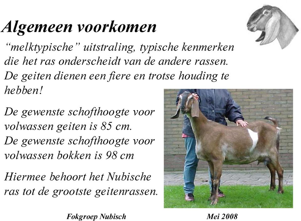 De geiten dienen een fiere en trotse houding te hebben!