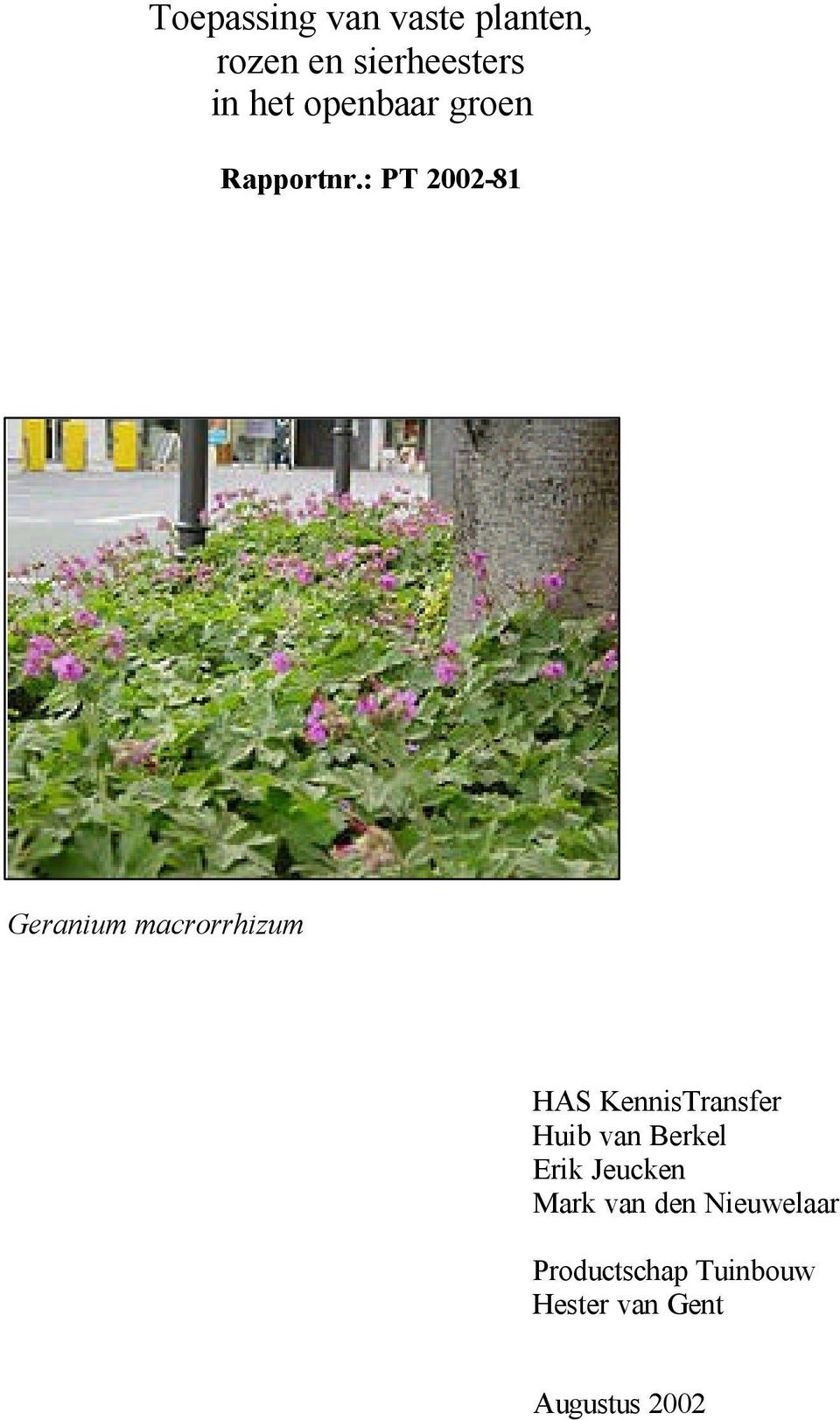 : PT 2002-81 Geranium macrorrhizum HAS KennisTransfer Huib