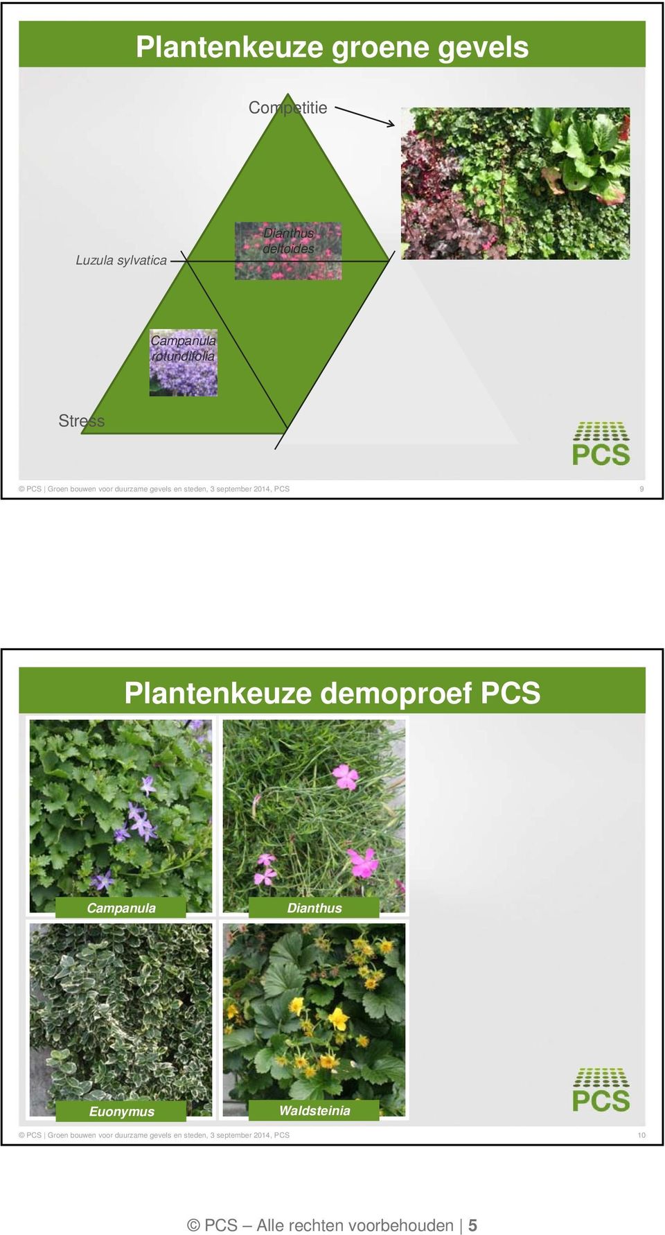 PCS 9 Plantenkeuze demoproef PCS Campanula Dianthus Euonymus Waldsteinia PCS Groen