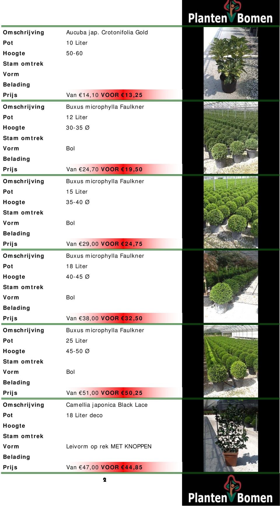 24,70 VOOR 19,50 Buxus microphylla Faulkner 35-40 Ø Bol Van 29,00 VOOR 24,75 Buxus microphylla