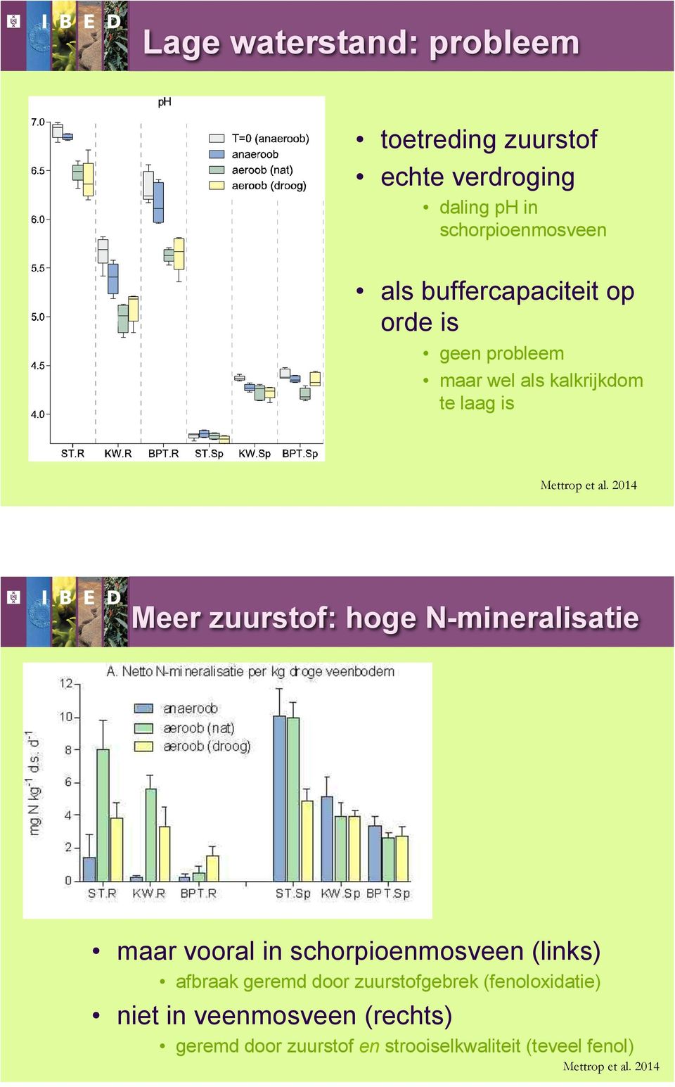 2014 Meer zuurstof: hoge N-mineralisatie maar vooral in schorpioenmosveen (links) afbraak geremd door