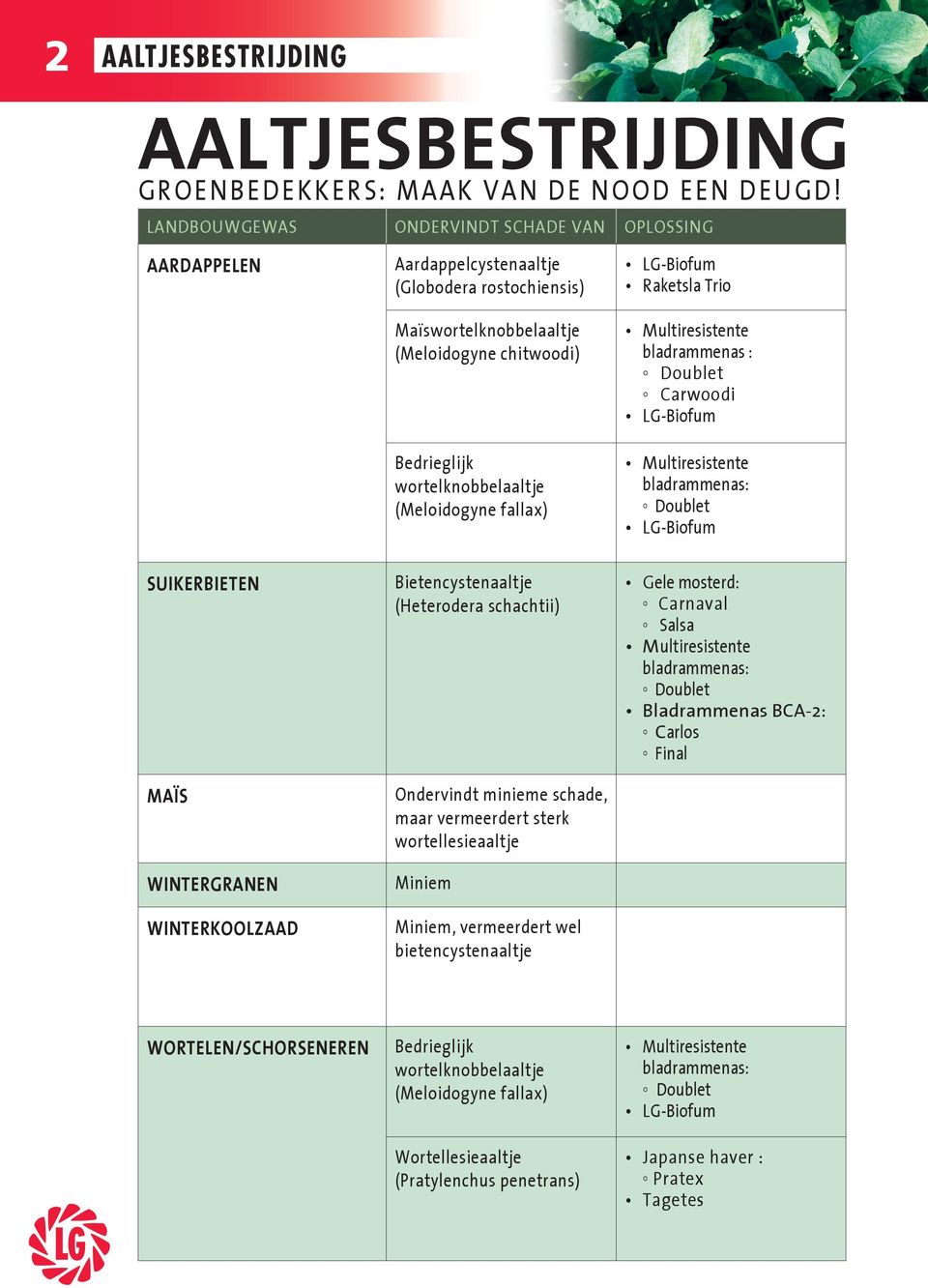 fallax) LG-Biofum Raketsla Trio Multiresistente bladrammenas : Doublet Carwoodi LG-Biofum Multiresistente bladrammenas: Doublet LG-Biofum SUIKERBIETEN MAÏS WINTERGRANEN WINTERKOOLZAAD