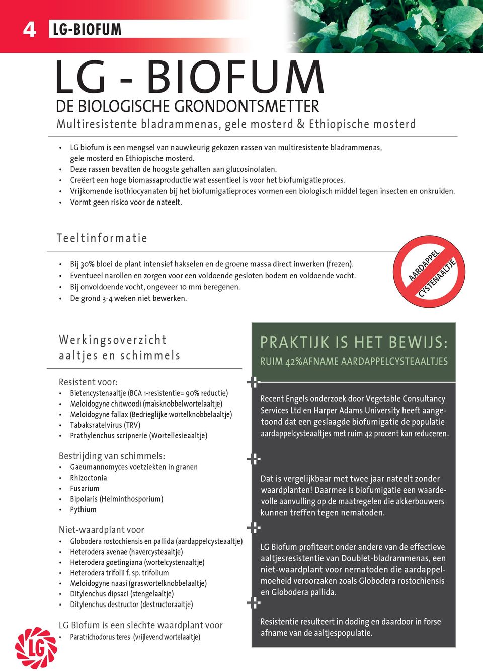 Vrijkomende isothiocyanaten bij het biofumigatieproces vormen een biologisch middel tegen insecten en onkruiden. Vormt geen risico voor de nateelt.