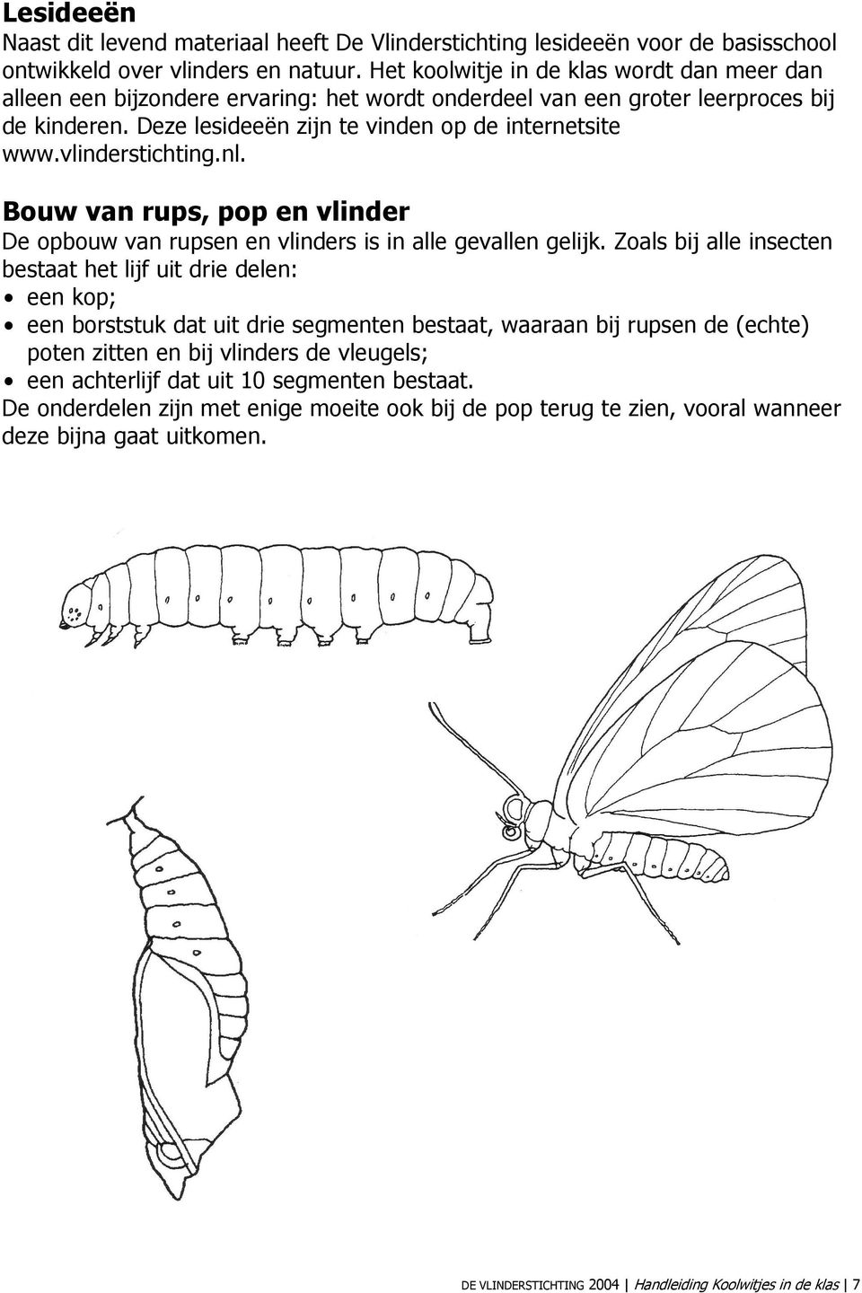 vlinderstichting.nl. Bouw van rups, pop en vlinder De opbouw van rupsen en vlinders is in alle gevallen gelijk.