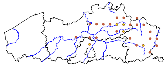 De hoekige dwergposthoorn (Menetus dilatatus) (figuur 6) is in België een eerste maal gemeld in Limburg in 1998 (Sablon et al., 2010b).