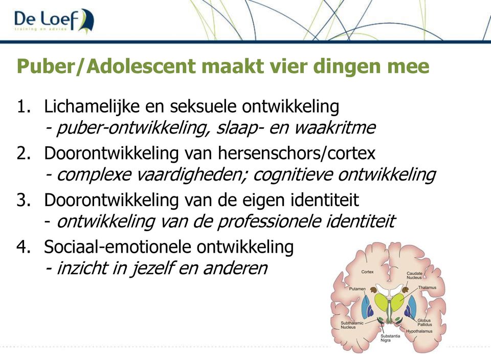 Doorontwikkeling van hersenschors/cortex - complexe vaardigheden; cognitieve ontwikkeling 3.