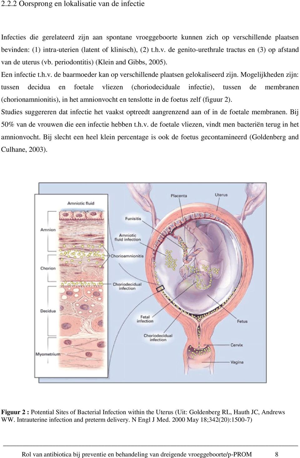 Mogelijkheden zijn: tussen decidua en foetale vliezen (choriodeciduale infectie), tussen de membranen (chorionamnionitis), in het amnionvocht en tenslotte in de foetus zelf (figuur 2).