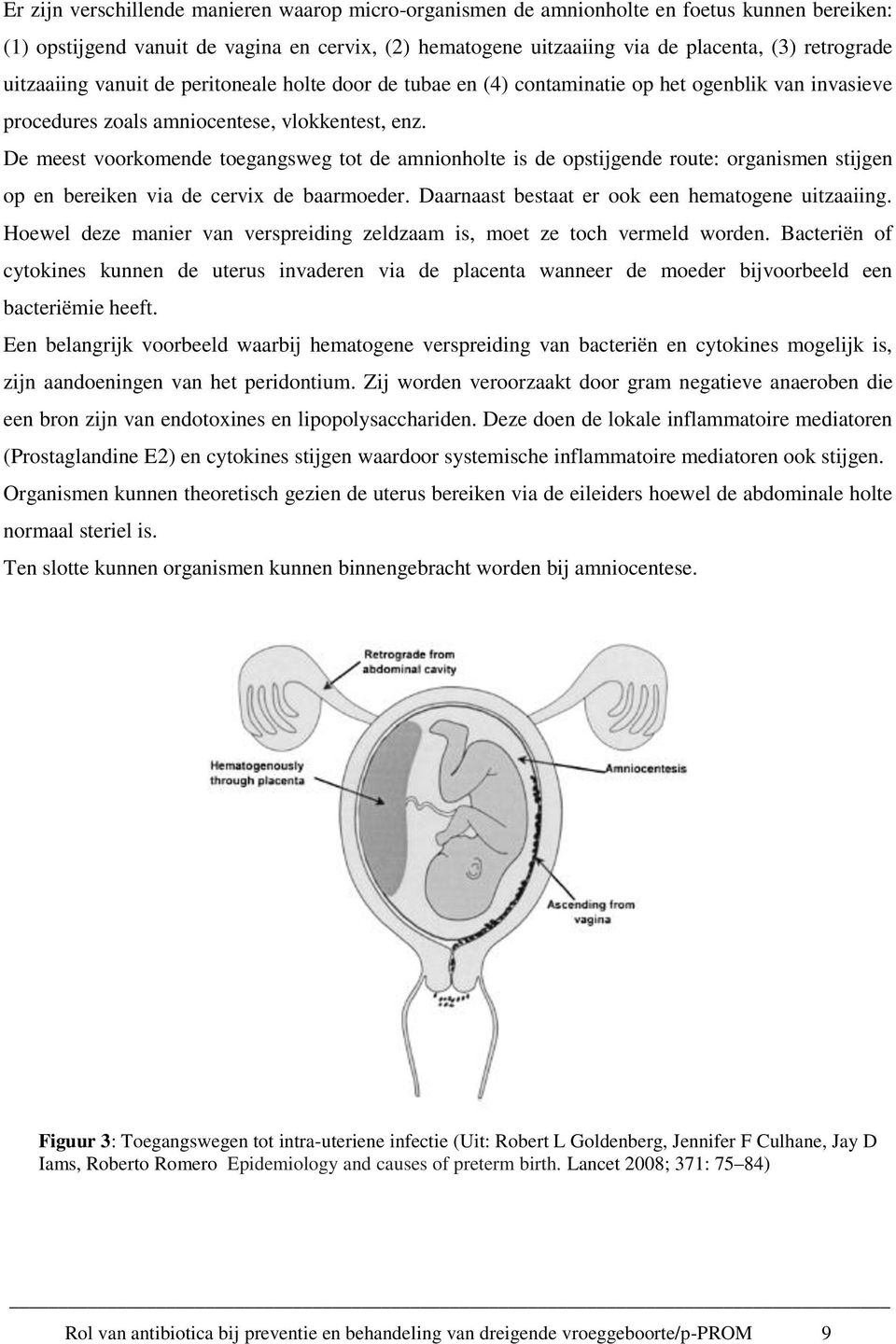 De meest voorkomende toegangsweg tot de amnionholte is de opstijgende route: organismen stijgen op en bereiken via de cervix de baarmoeder. Daarnaast bestaat er ook een hematogene uitzaaiing.