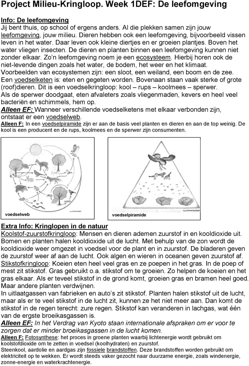 De dieren en planten binnen een leefomgeving kunnen niet zonder elkaar. Zo n leefomgeving noem je een ecosysteem.