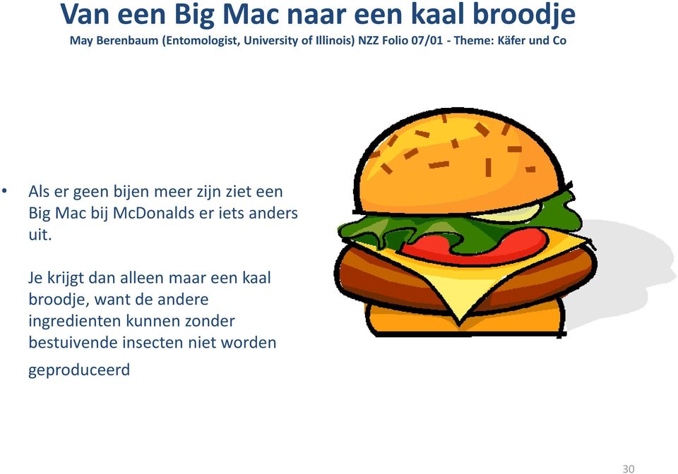 Big Mac bij McDonalds er iets anders uit.