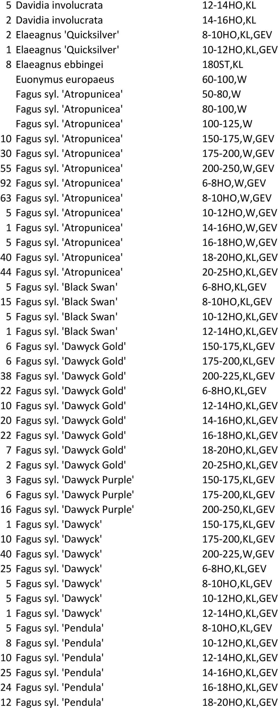 'Atropunicea' 175-200,W,GEV 55 Fagus syl. 'Atropunicea' 200-250,W,GEV 92 Fagus syl. 'Atropunicea' 6-8HO,W,GEV 63 Fagus syl. 'Atropunicea' 8-10HO,W,GEV 5 Fagus syl.