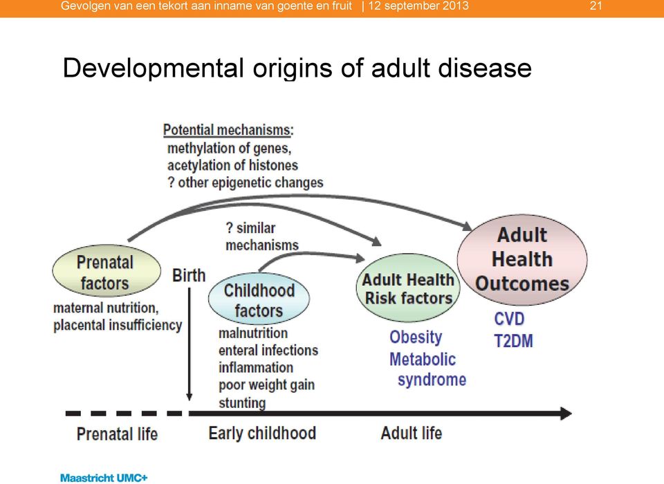 origins of adult disease Fetal Origins