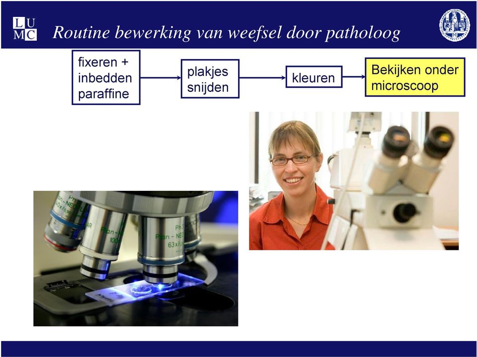 inbedden paraffine plakjes