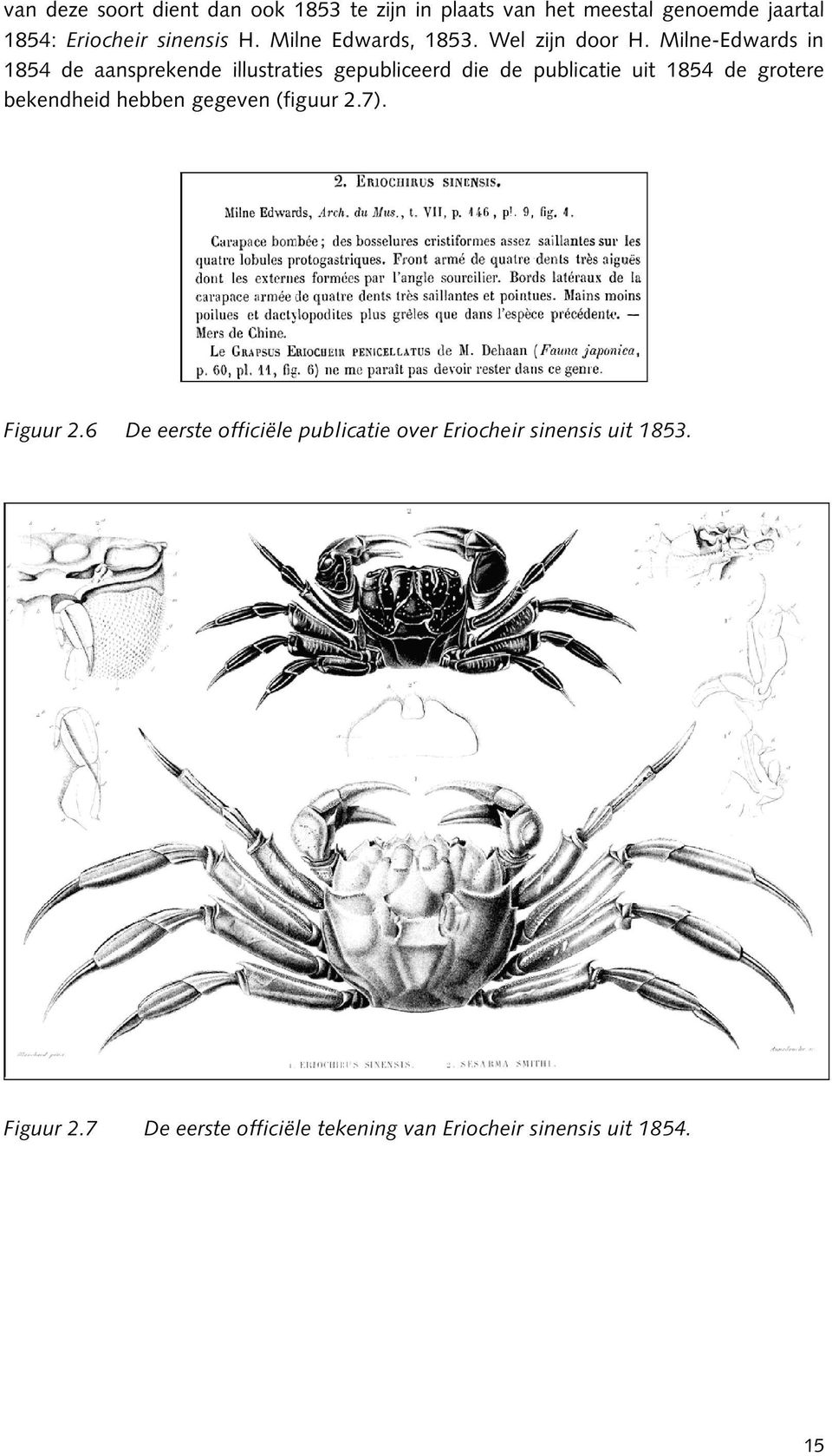 Milne-Edwards in 1854 de aansprekende illustraties gepubliceerd die de publicatie uit 1854 de grotere
