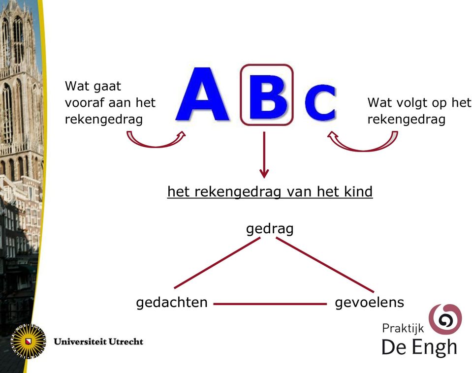 rekengedrag het rekengedrag