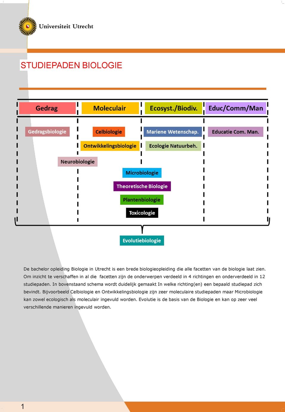 In bovenstaand schema wordt duidelijk gemaakt In welke richting(en) een bepaald studiepad zich bevindt.