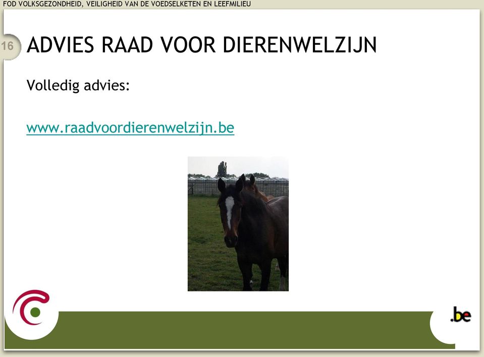 Volledig advies: