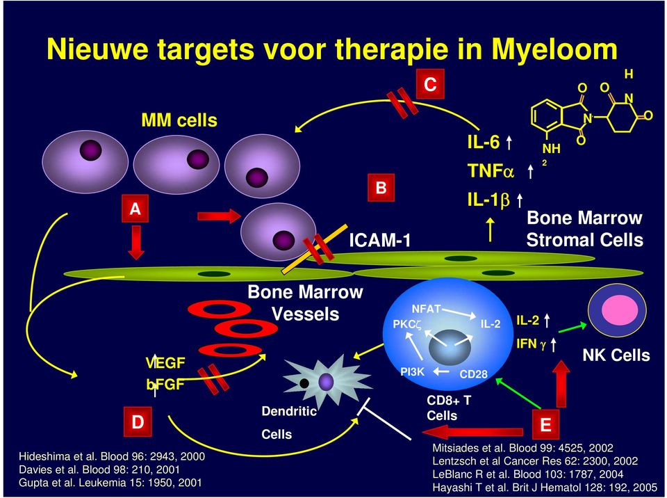 Leukemia 15: 1950, 2001 Bone Marrow Vessels Dendritic Cells NFAT PKCζ PI3K CD8+ T Cells CD28 IL-2 IL-2 IFN γ E NK Cells