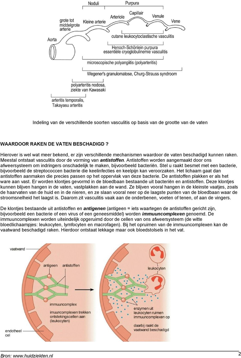 Antistoffen worden aangemaakt door ons afweersysteem om indringers onschadelijk te maken, bijvoorbeeld bacteriën.