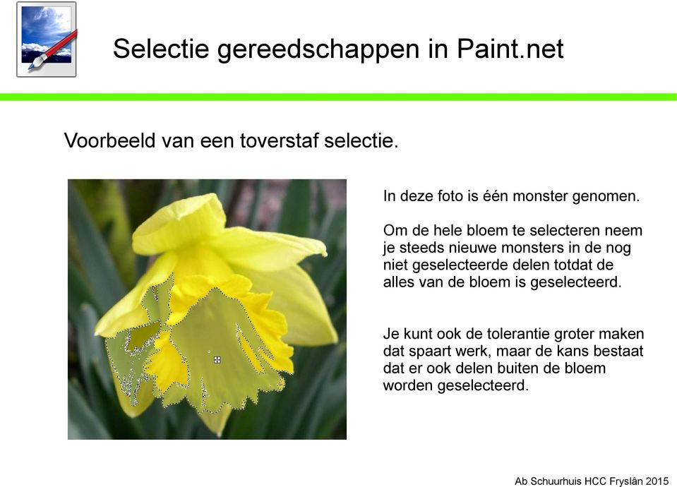 geselecteerde delen totdat de alles van de bloem is geselecteerd.