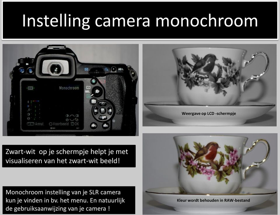 Monochroom instelling van je SLR camera kun je vinden in bv. het menu.
