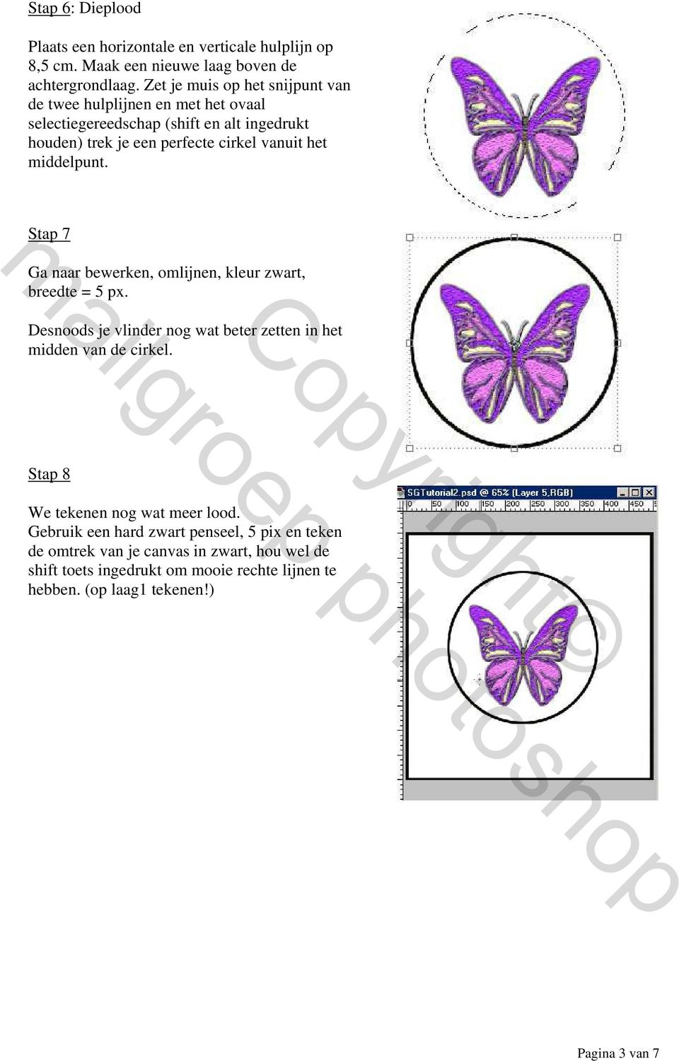 middelpunt. Stap 7 Ga naar bewerken, omlijnen, kleur zwart, breedte = 5 px. Desnoods je vlinder nog wat beter zetten in het midden van de cirkel.