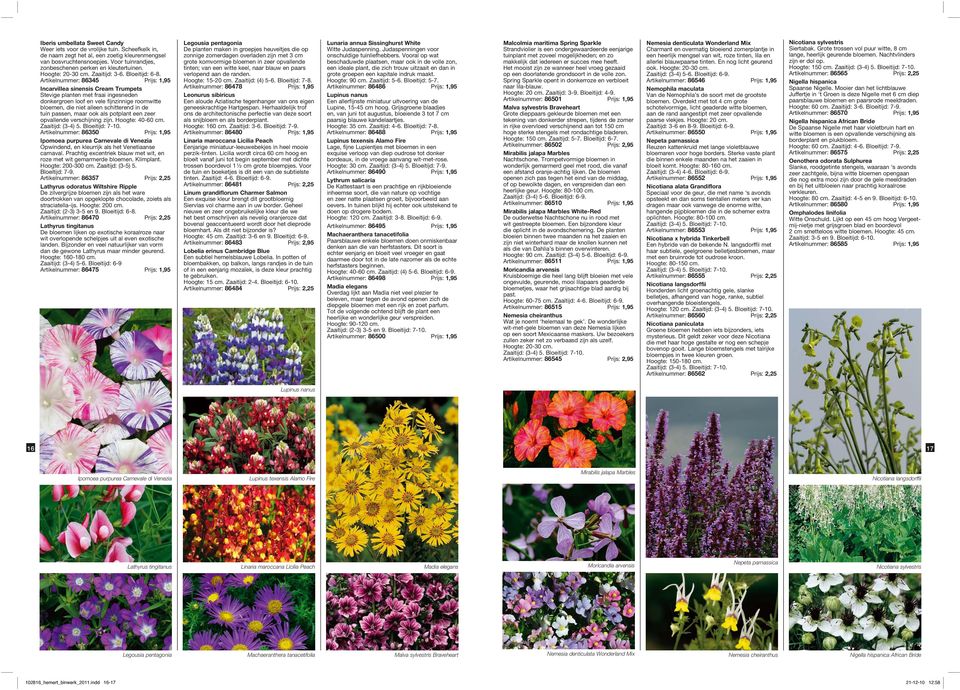 Artikelnummer: 86345 Prijs: 1,95 Incarvillea sinensis Cream Trumpets Stevige planten met fraai ingesneden donkergroen loof en vele fijnzinnige roomwitte bloemen, die niet alleen schitterend in de