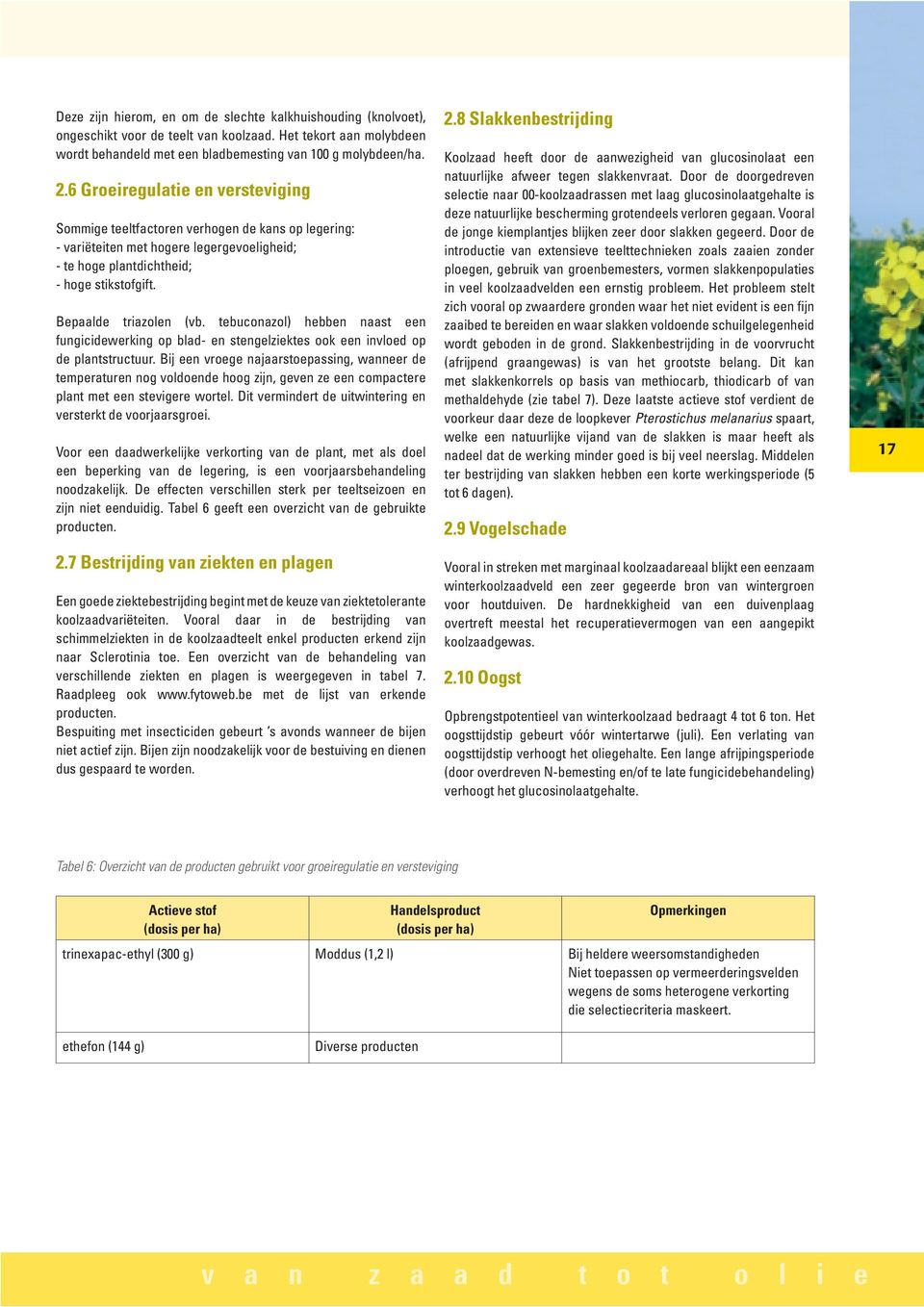tebuconazol) hebben naast een fungicidewerking op blad- en stengelziektes ook een invloed op de plantstructuur.
