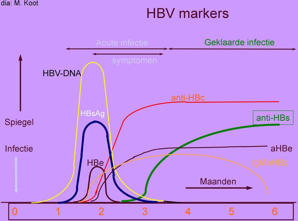 Geklaarde infectie HBV-DNA symptomen