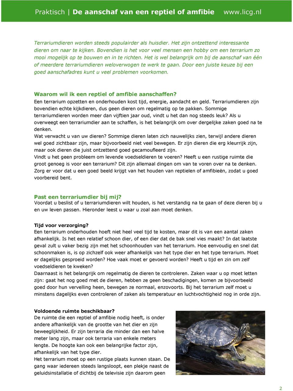 Het is wel belangrijk om bij de aanschaf van één of meerdere terrariumdieren weloverwogen te werk te gaan. Door een juiste keuze bij een goed aanschafadres kunt u veel problemen voorkomen.