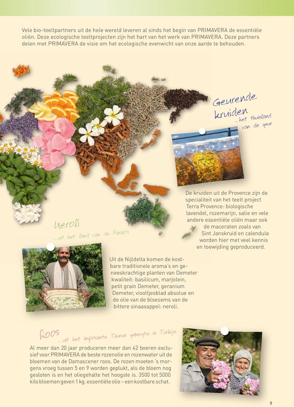 Geurende kruiden het thuisland van de geur Neroli uit het land van de Farao s De kruiden uit de Provence zijn de specialiteit van het teelt project Terra Provence: biologische lavendel, rozemarijn,