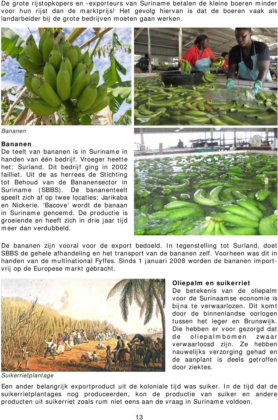 Vroeger heette het: Surland. Dit bedrijf ging in 2002 failliet. Uit de as herrees de Stichting tot Behoud van de Bananensector in Suriname (SBBS).