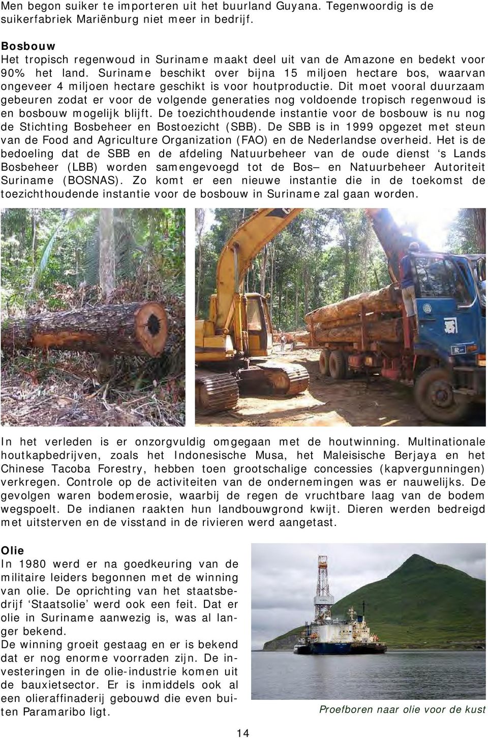 Suriname beschikt over bijna 15 miljoen hectare bos, waarvan ongeveer 4 miljoen hectare geschikt is voor houtproductie.