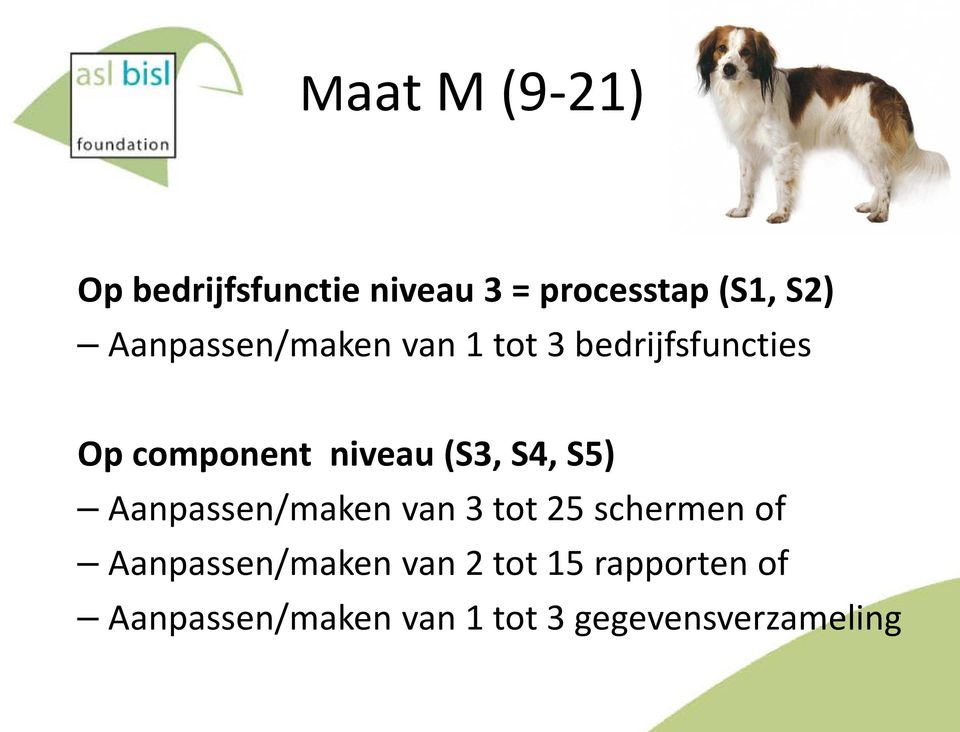 (S3, S4, S5) Aanpassen/maken van 3 tot 25 schermen of