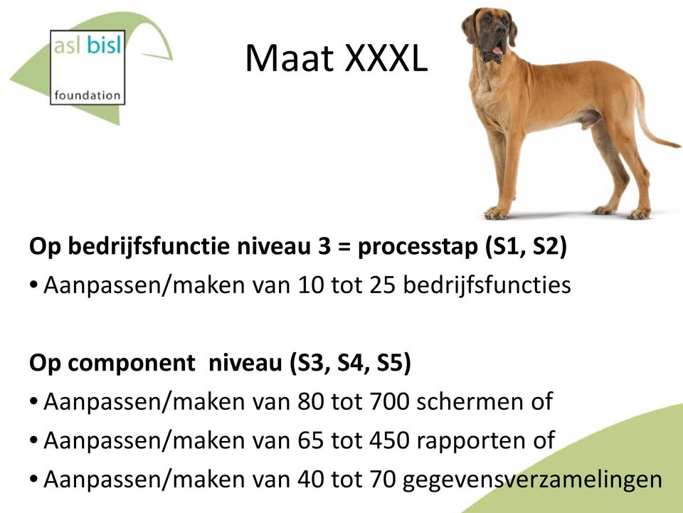 (S3, S4, S5) Aanpassen/maken van 80 tot 700 schermen of