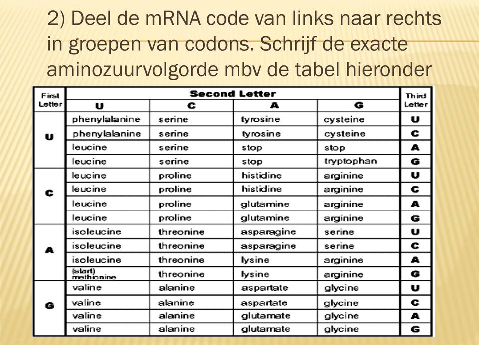 codons.