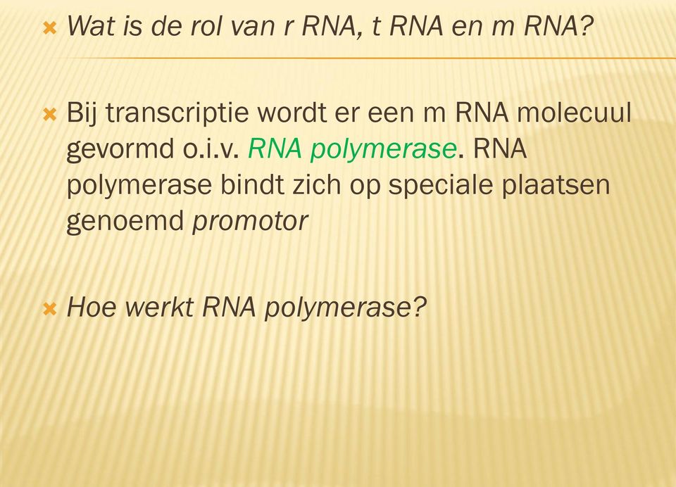 gevormd o.i.v. RNA polymerase.