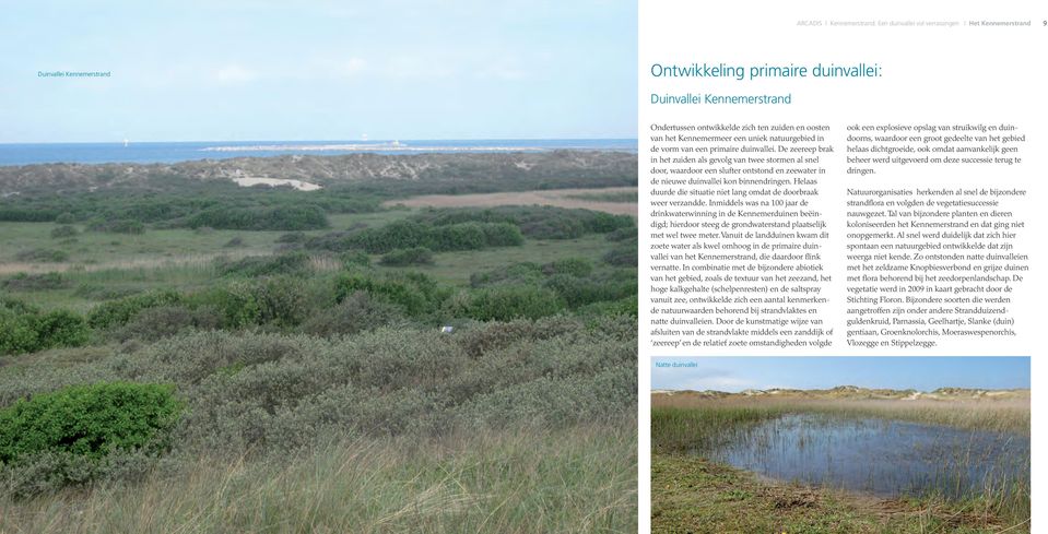 De zeereep brak in het zuiden als gevolg van twee stormen al snel door, waardoor een slufter ontstond en zeewater in de nieuwe duinvallei kon binnendringen.