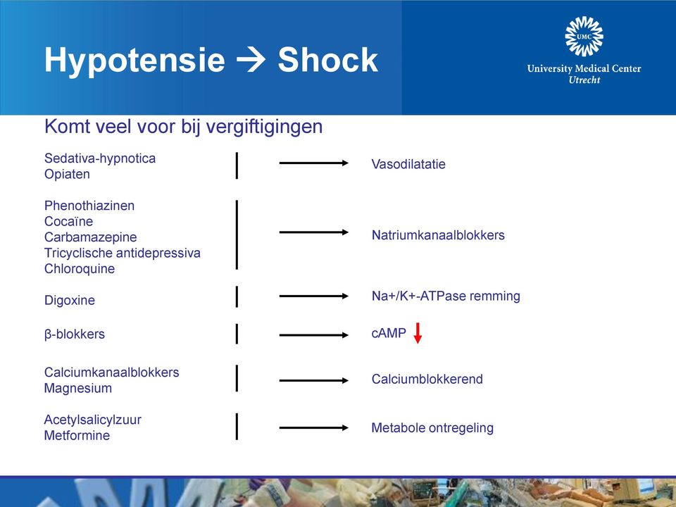 Digoxine β-blokkers Vasodilatatie Natriumkanaalblokkers Na+/K+-ATPase remming camp