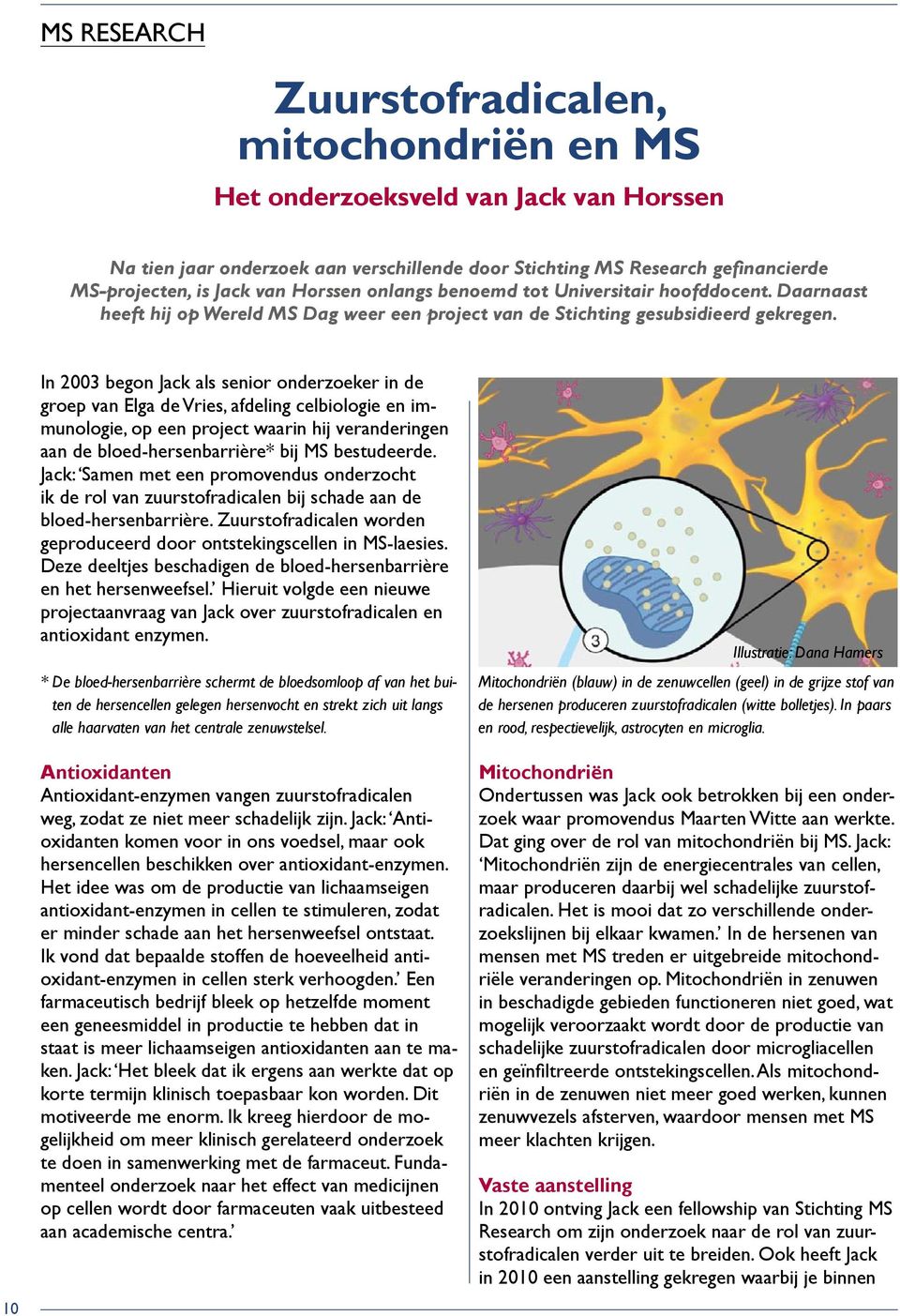 10 In 2003 begon Jack als senior onderzoeker in de groep van Elga de Vries, afdeling celbiologie en immunologie, op een project waarin hij veranderingen aan de bloed-hersenbarrière* bij MS