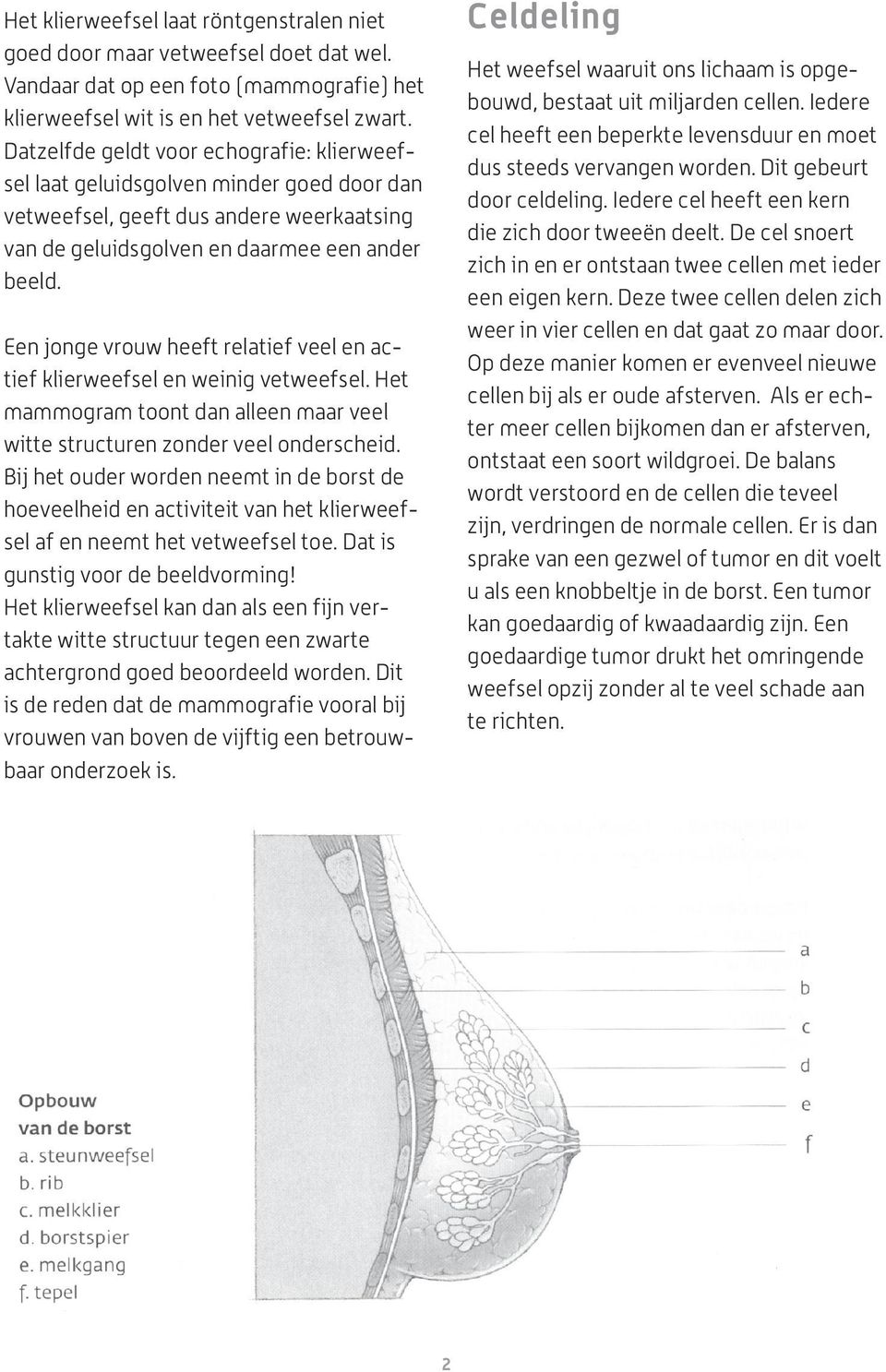 Een jonge vrouw heeft relatief veel en actief klierweefsel en weinig vetweefsel. Het mammogram toont dan alleen maar veel witte structuren zonder veel onderscheid.