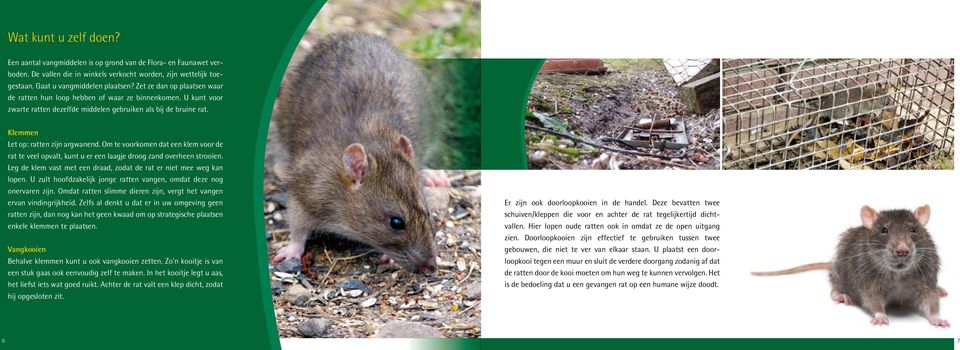 Om te voorkomen dat een klem voor de rat te veel opvalt, kunt u er een laagje droog zand overheen strooien. Leg de klem vast met een draad, zodat de rat er niet mee weg kan lopen.